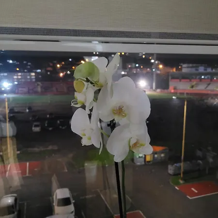 Stadion Apartment